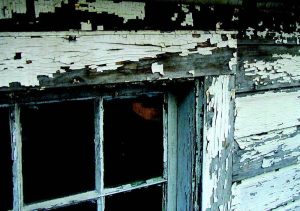 Paint cracking and peeling off the walls of an old home